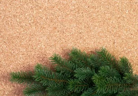Fir branch Stock Photos