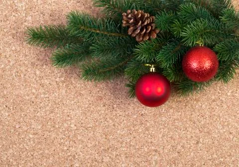 Fir branch Stock Photos