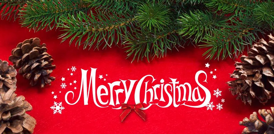 Fir branch Stock Photos
