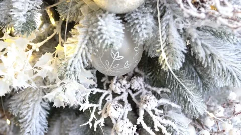 Fir Branch With Pine Cone And Snow Flakes - Christmas Holidays concept Stock Footage 133421706