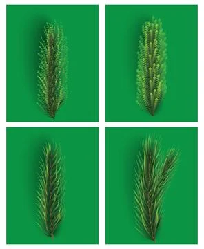 Fir Branch Set. Christmas Tree. Stock-Illustration