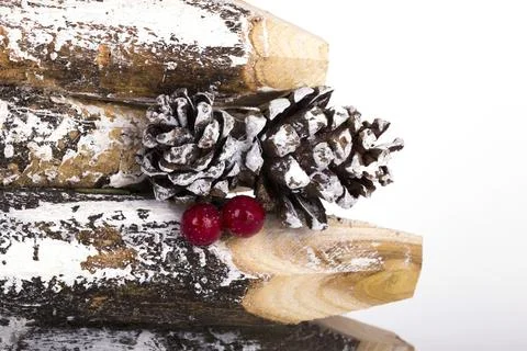 Fir branch on snow Stock Photos