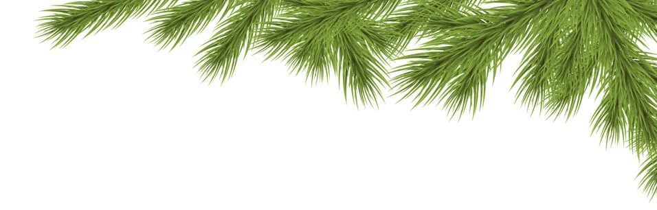 Fir branch upper right corner Illustrazione stock