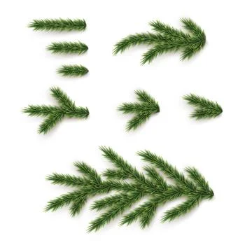 Fir branches and elements set. Vector Christmas tree parts. Stock Illustration