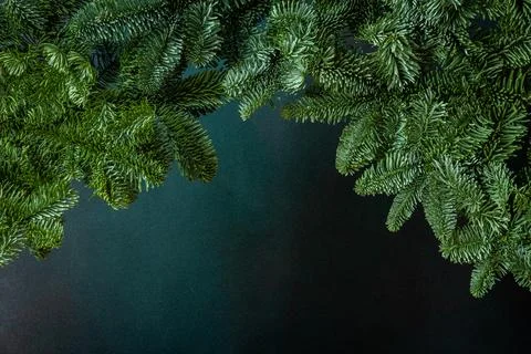 Fir branches background Stock Photos