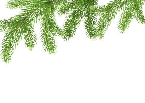 Fir branches border. Christmas tree frame, pine needles isolated on white 스톡 일러스트