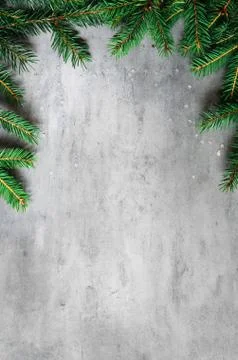 Fir branches border on gray background, christmas backdrop Stock Photos