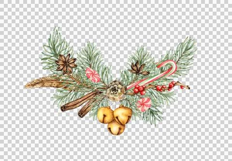 Fir branches cinnamon and candy caramel wreath watercolor Stock Illustration