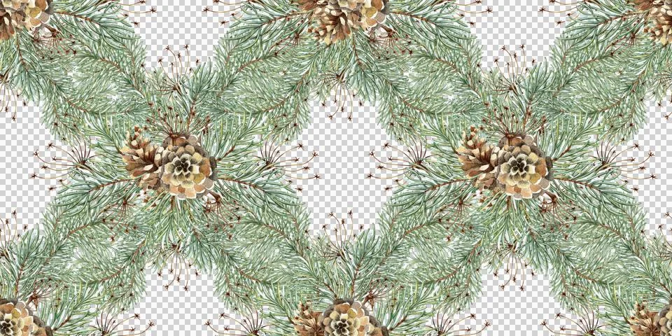 Fir branches cones grass network pattern watercolor 스톡 일러스트