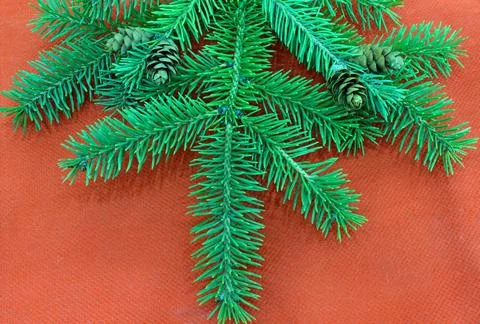 Fir branches with cones on a red background Stock Photos
