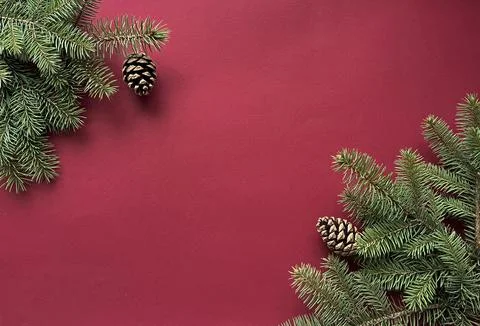 Fir branches with cones on red  background.  Winter or New Year concept. New Stock Photos
