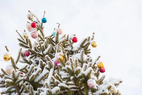 Fir branches covered snow, bright colorful baubles. Decorated christmas tree Stock Photos