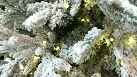 Fir branches covered with snow. Stock Footage 220714326
