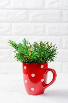 Fir  branches in the cup Stock-Fotos