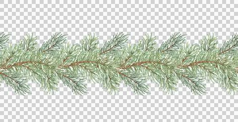 Fir branches fluffy pattern horizontal watercolor 스톡 일러스트