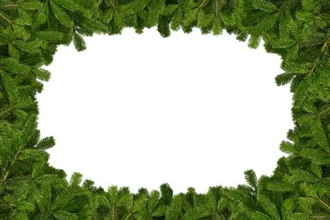 Fir branches frame Stock Photos