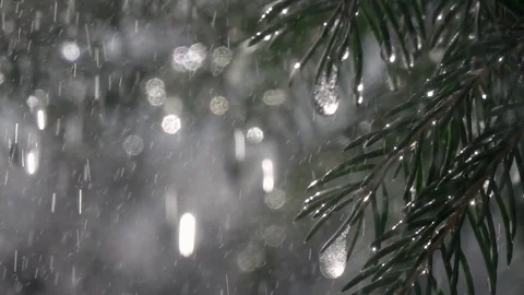 Fir branches with glittering icicles under falling rain drops in extreme slow-mo Vídeos de archivo 88074061