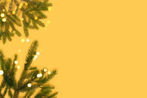 Fir branches with golden bokeh on a yellow background. Stock Photos