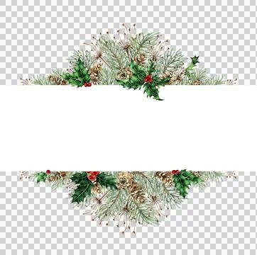 Fir branches grass cones holly banner watercolor Stock Illustration