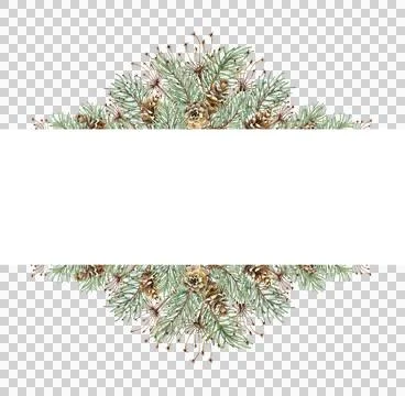 Fir branches grass pine cones banner watercolor Stock Illustration