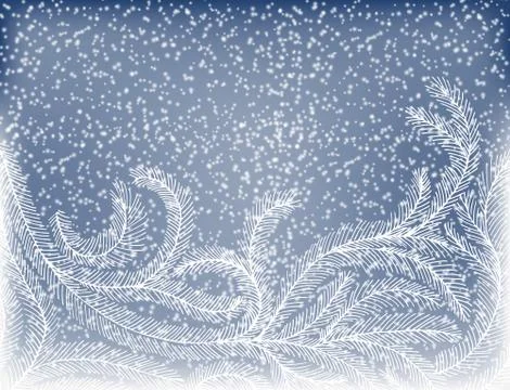 Fir branches Stock Illustration