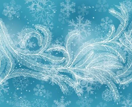 Fir branches Stock Illustration