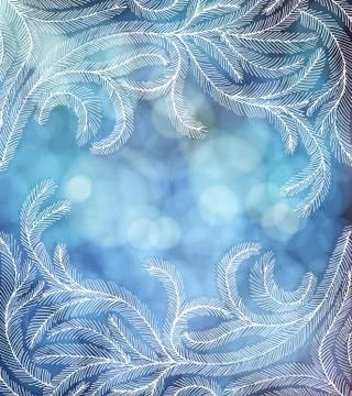 Fir branches Stock Illustration