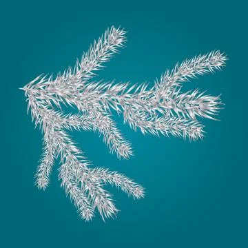 Fir branches isolated on dark background. Silver lush spruce branch. Stock Illustration