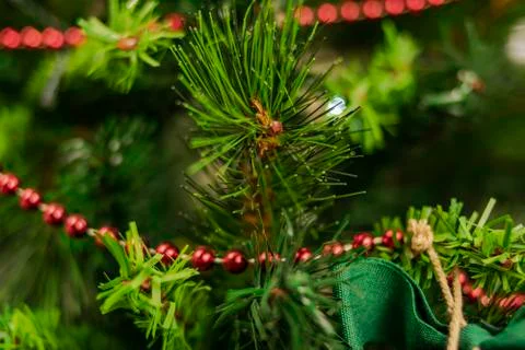 Fir branches open between decoration and Christmas motifs Stock Photos