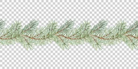Fir branches pattern horizontal watercolor 스톡 일러스트