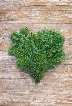 Fir branches Foto stock