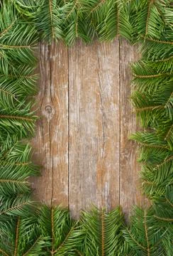 Fir branches Stock Photos