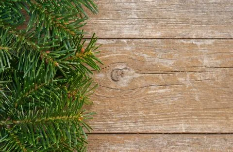 Fir branches Stock Photos