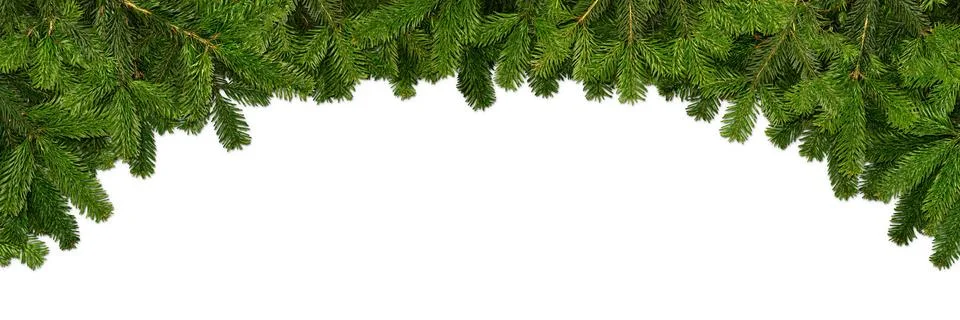 Fir branches Stock Photos
