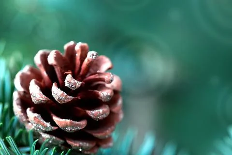 Fir branches with pine cone isolated on green Christmas background Stock Photos