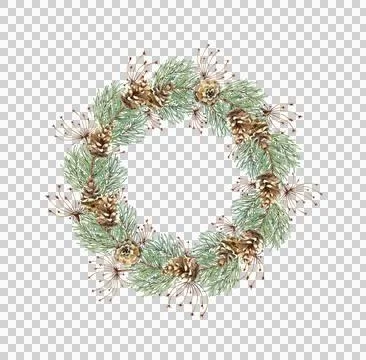 Fir branches pine cones and grass wreath watercolor Stock Illustration