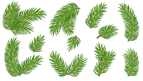 Fir branches pine tree, conifer, spruce winter set Stock Illustration
