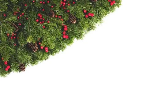 Fir branches on white Stock Photos