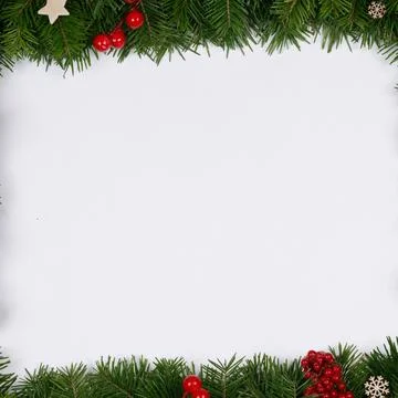 Fir branches on white Stock Photos