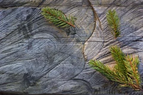 Fir branches on wooden background Stock Photos