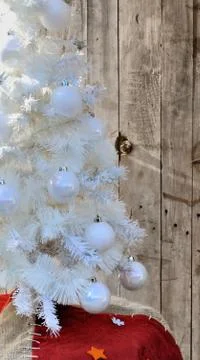 Fir Christmas tree Stock Photos