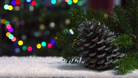 Fir cone and Christmas tree branch isolated on lights background. Stock Footage 145474017