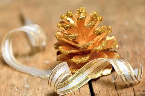 Fir cone Stock Photos