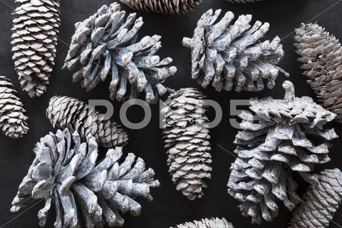 Fir Cone Texture As Christmas Decoration, Flat Lay Stock Photos