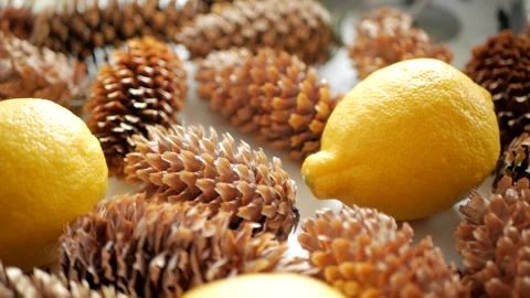 Fir cones and lemons Stock Footage 151394799