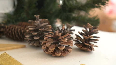 Fir cones, close-up. Group of conifer cones. Stock Footage 103218372
