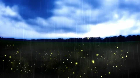 FIR FLY 1 Stock Footage 158978980