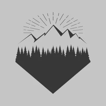 Fir forest background with contours of the mountains, vector illustration. Stock Illustration