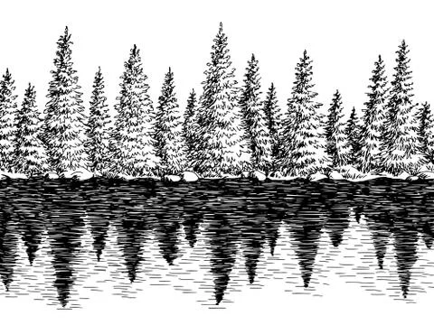 Fir forest river reflection graphic black white landscape sketch illustration ve Stock Illustration