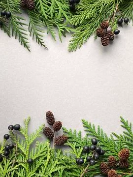 Fir frames on grey background. happy new year 2021 Stock Photos